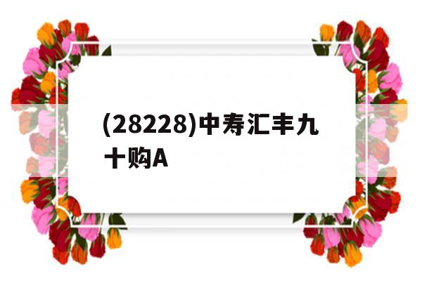 (28228)中寿汇丰九十购A的简单介绍