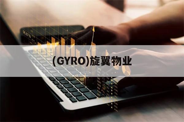 (GYRO)旋翼物业的简单介绍