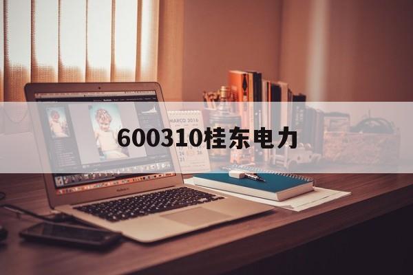 600310桂东电力(600310桂东电力东方财富)