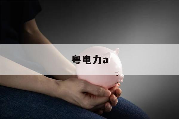 粤电力a(粤电力a股吧)