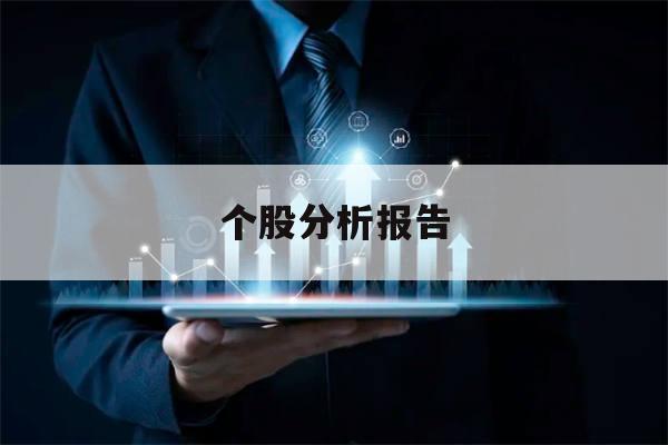 个股分析报告(个股分析报告模版)