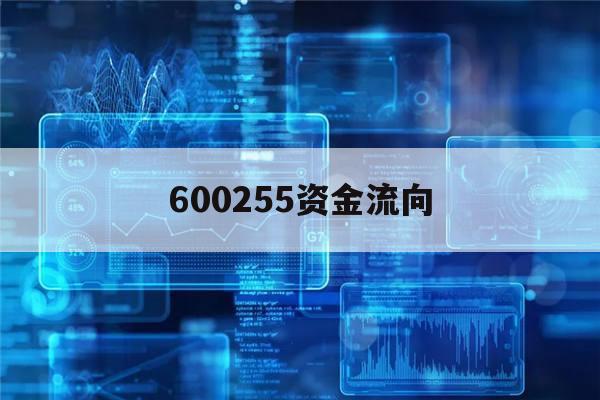 600255资金流向(600259资金流向全览)