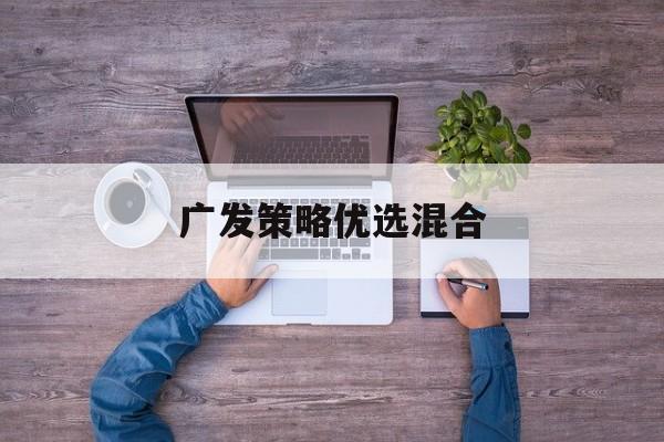 广发策略优选混合(广发策略优选混合型证券投资基金)