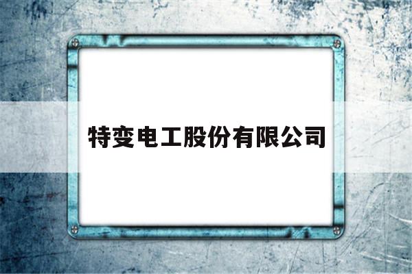 特变电工股份有限公司(特变电工股份有限公司新疆变压器厂)