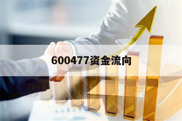 600477资金流向(600746资金流向全览)