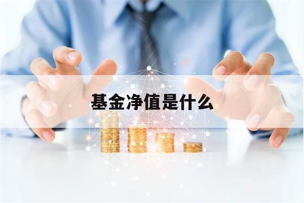 基金净值是什么(基金净值是什么时候更新的)