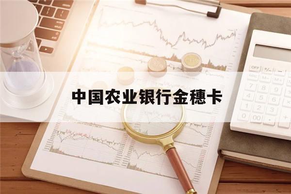 中国农业银行金穗卡(中国农业银行金穗卡CREDIT是什么卡)