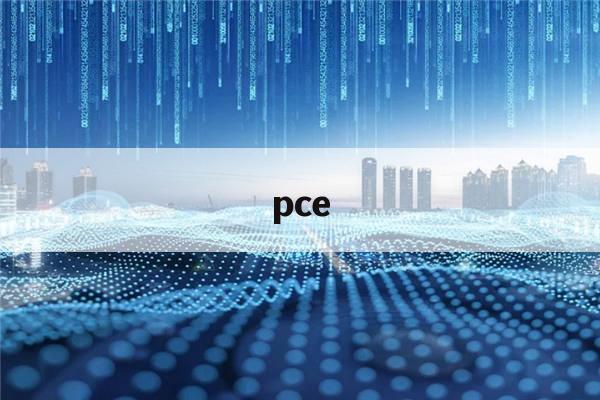 pce(pcea和pcia泵的区别)