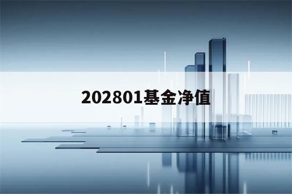 202801基金净值(202801基金净值查询)