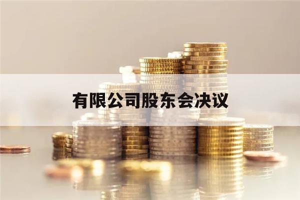 有限公司股东会决议(有限公司股东会决议生效条件)